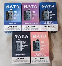 Nata Space X Vape with 5% Nic - 26000 Puffs